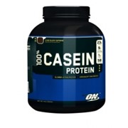 100% Casein Protein 1800g фото