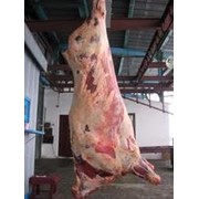 Четвертины (охлажденные коровьи) от 180 кг фото