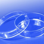 Чашки биологические (ПЕТРИ) с крышками низкие ЧБН. ЧБН-1-80-15