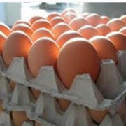 Фасовка продуктов питания: яйца куриные фото