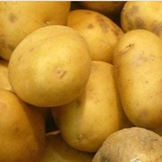 Купить в Киеве картофель