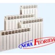 Радиатор алюминиевый NOVA FLORIDA “SERIR EXTRATHERM“ 350/100 16 фотография