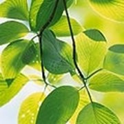 Аттестация рабочих мест фото