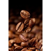 Кофе в зернах Бразилия Сантос фотография