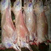 Мясо баранина, баранина оптом, доступные цены на баранину. фотография