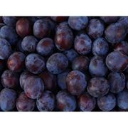 Сливы в Молдове фото