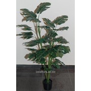 Растение искусственное “Монстера в горшке“ 1,2м AН14549 фотография