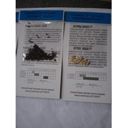 Семена лука VladiS - Батун; Халцедон; Чернушка фото