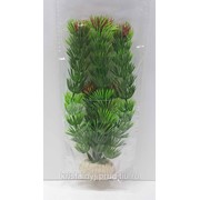 Искусственное растение для аквариума “Элодея“ (AP-009) 20см фотография