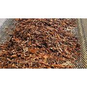 Переработка ориентального табака фото