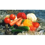 Органические удобрения фото