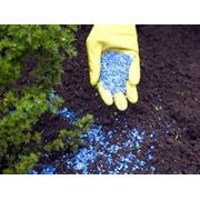 Органические удобрения содержат азот фосфор калий кальций и другие элементы питания растений. фото