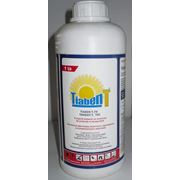 Протравитель зерновых культур Тиабен Т фото