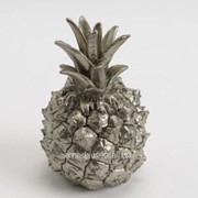 Шкатулка Silver Ananas фото