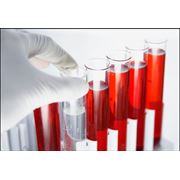 услуги диагностической лаборатории фото