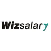 Wizsalary - зарплата и учёт кадров фото