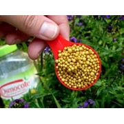 Вещества химические фото