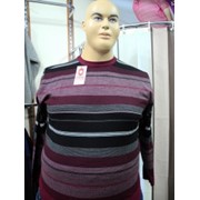 Мужской свитер Артикул: 394, больших размеров оптом и в розницу