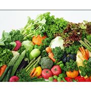 Экспорт фруктов и овощей фото