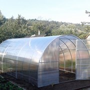 Теплицы 4м, 6м, 8м из трубы 20х40, 20х20 шаг (0,67) Титан , Сибрская, Агро. Полный комплает , Надежный поликарбонат . Доставка по всей области. . 1120-25-28 фото