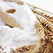 Wheat Flour Of High Grade фото