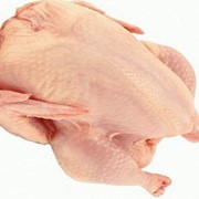 Мясо куриное охлажденное, бедро, голень, четверть фотография