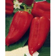 Семена перца “Подарок Молдовы“ фото