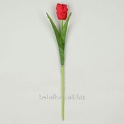 Цветок искусственный “Тюльпан попугайчатый красный“ L361-02 фотография