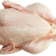Мясо куриное охлажденное, курятина фотография