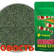 Корм Tropical Caridina Nano Sticks 10 г фотография
