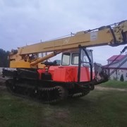 Кран специальный гусеничный МКТ 25  фото