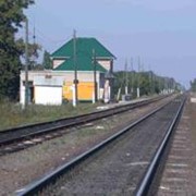 Услуги информационные фото
