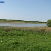 Участок на берегу Бердянского водохранилища, река Берда фото