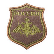 Шеврон Нарукавный знак Сухопутные войска РФ фотография