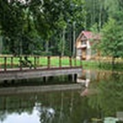 Экскурсия Брест-Беловежская Пуща (резиденция Деда Мороза) фото