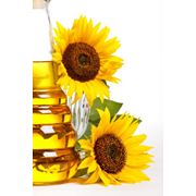 Ulei de floarea soarelui la export фото