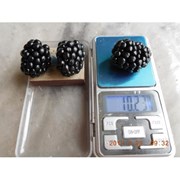 Прайм Джин(рем) фото