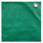 Тент Тарпикс 180 5х6м (зелёный, люверсы - 0,5м фото