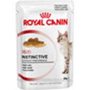 Влажный корм для кошек Royal Canin Feline Health Nutrition Instinctive Jelly фото