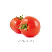 Семена томатов Авант F1 фотография