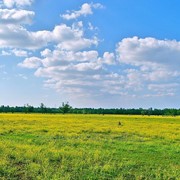 Межевание земельных участков в Костромской области фото