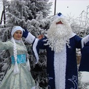 Дед мороз и снегурочка, новогодние елки фотография