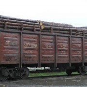 Грузовые контейнерные перевозки по России фото