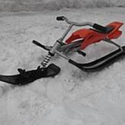 Снегокат DT 37010 Snow Moto X Games фото