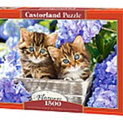 Пазлы 1500 эл. Castorland “Cute kittens“, 68х47 см., С-151561 фотография