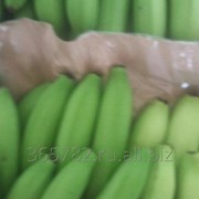 Бананы прямые поставки из Мексики