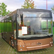 Автобус МАЗ 226