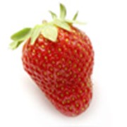 Ягоды Смородина красная (Red-currant) Малина красная (Raspberries) Клубника (Strawberies) фото