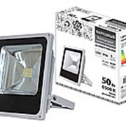 Прожектор светодиодный СДО50-2-Н 50 Вт, 6500 К, серый фотография