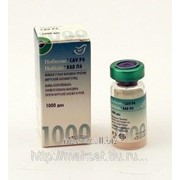 Вакцина Нобилис CAV P4 1000 D